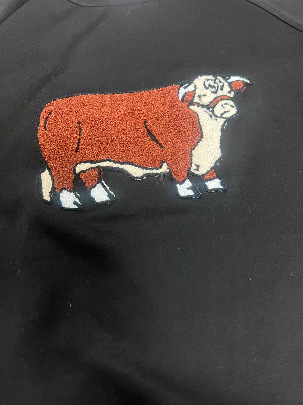 Fuzzy Hereford